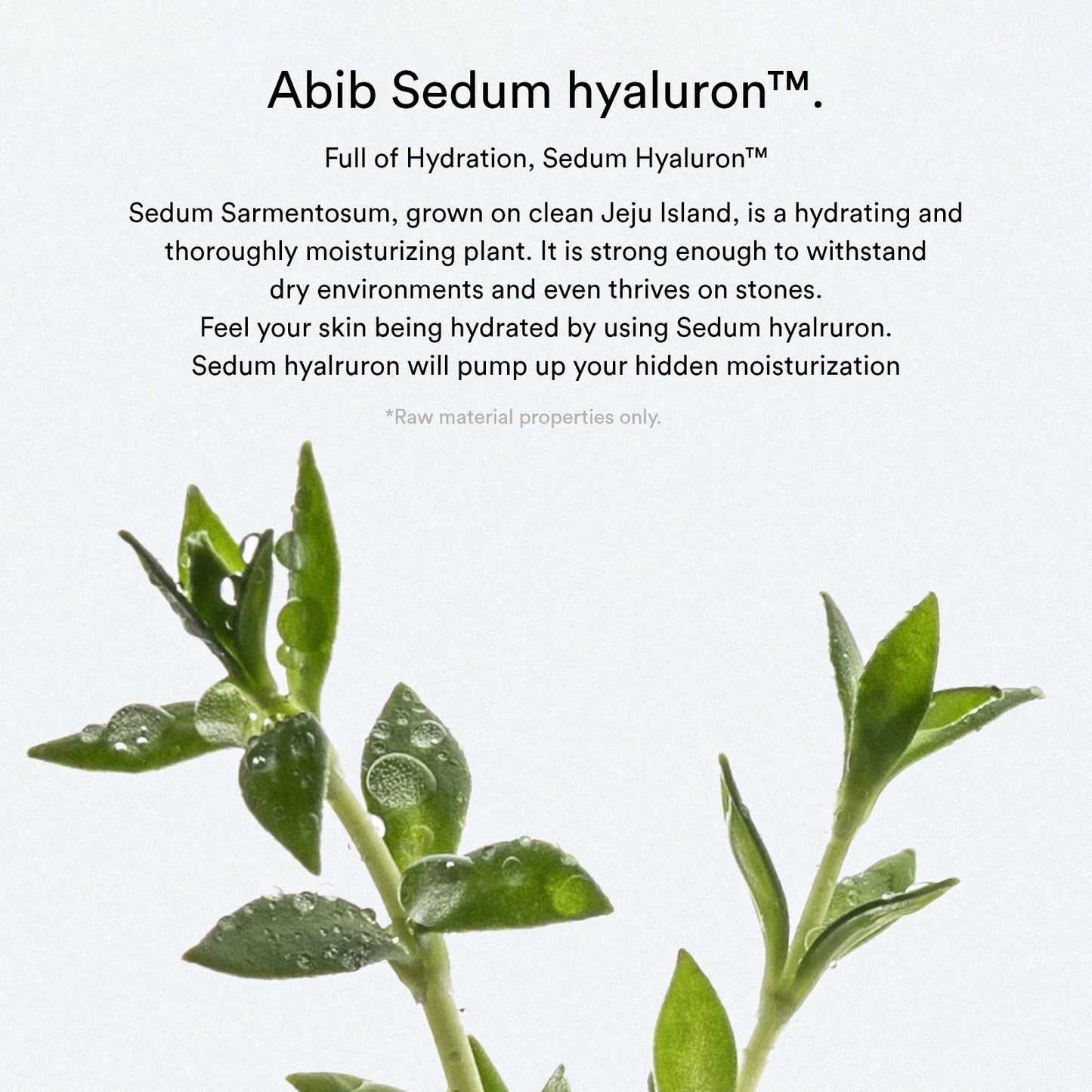 [Abib] Sedum hyaluron pad Hydrating touch - 165ml. 75 pads