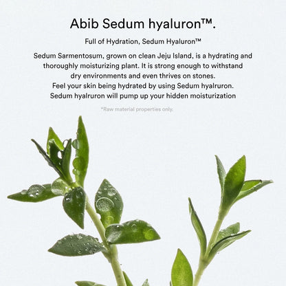 [Abib] Sedum hyaluron pad Hydrating touch - 165ml. 75 pads