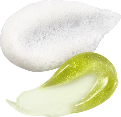 [Tage] Cica-Tree Cooling Jelly to Foam Cleanser 120ml